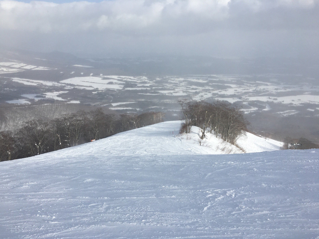 Shizukuishi Ski Place-雫石町必去景点
