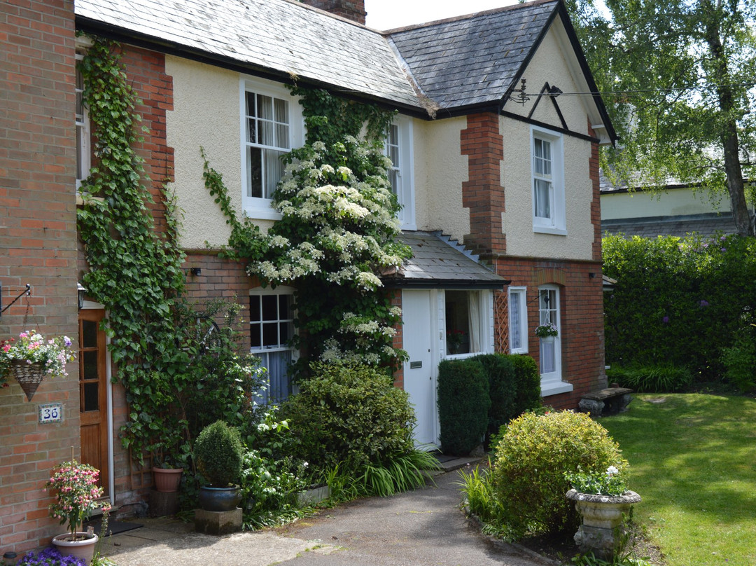 Moors Vale Lodge B&B