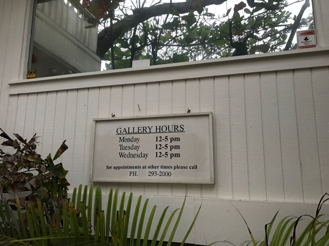 Kim Taylor Reese Gallery-哈乌乌拉必去景点