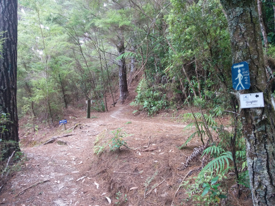 Whitianga Bike Park-菲蒂昂格必去景点