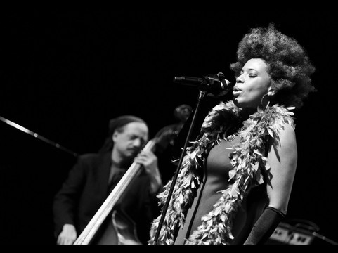 de Warande-腾尔浩特必去景点