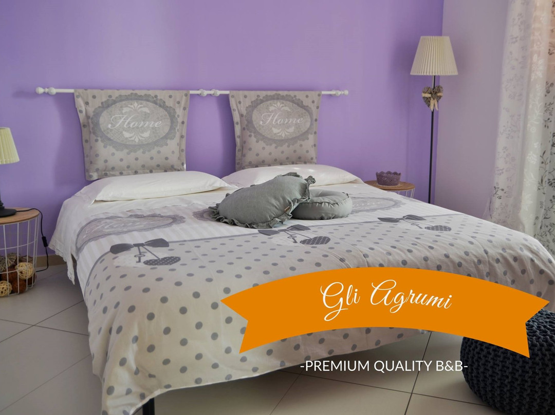Gli Agrumi Bed and Breakfast主图