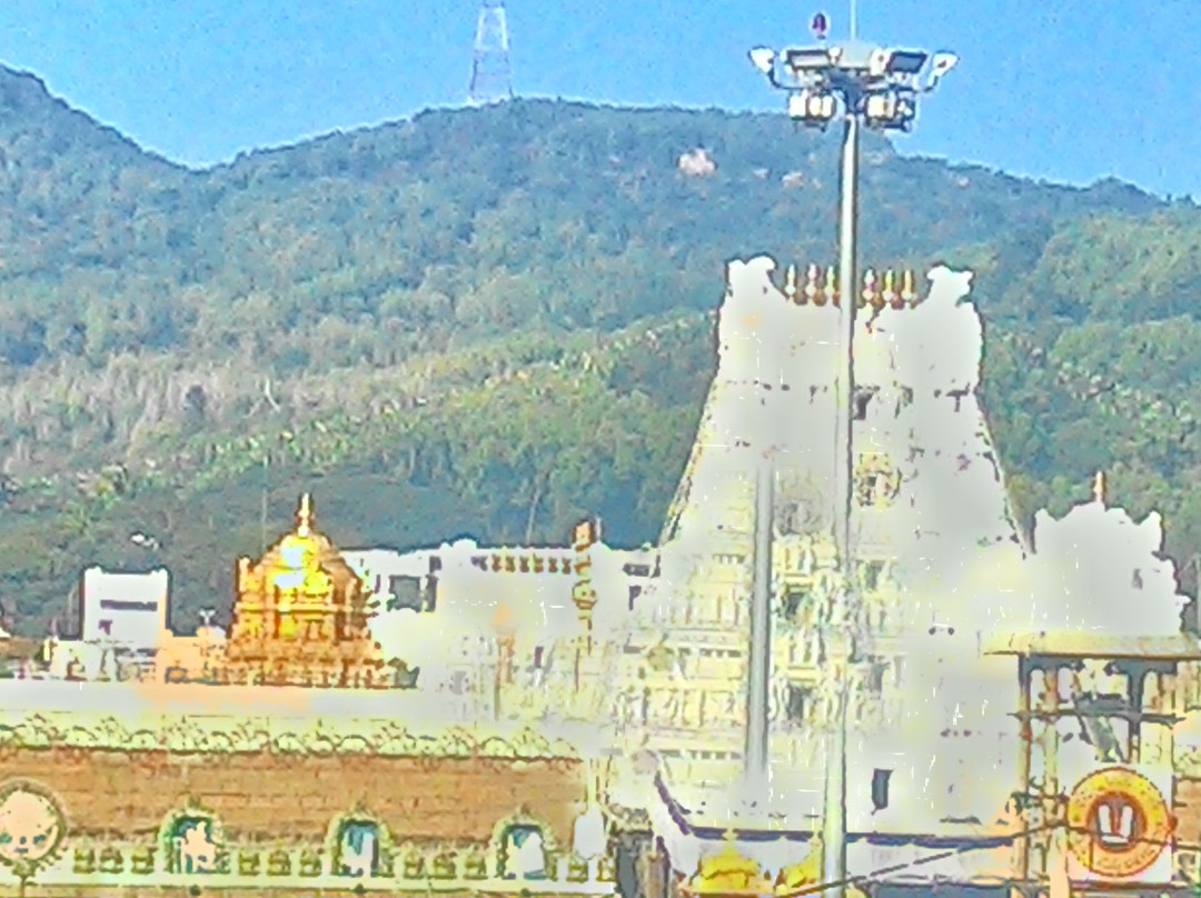 Tirumala Tirupati Devasthanams景点图片