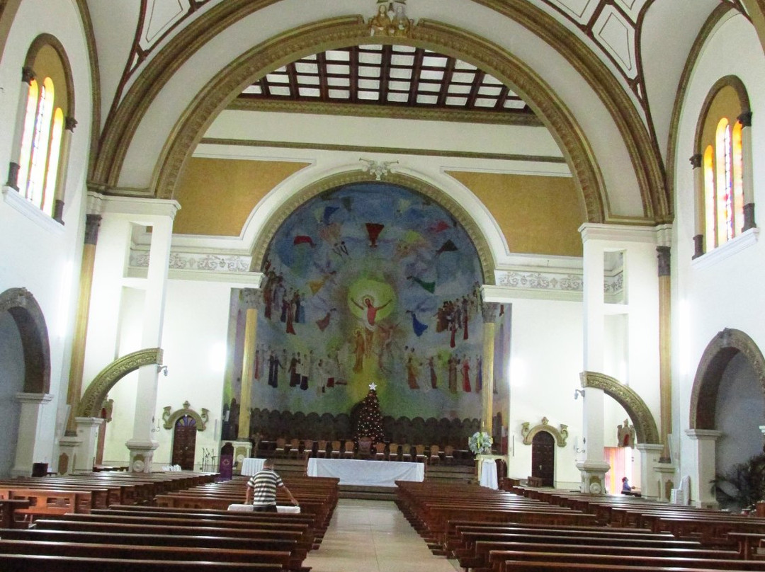 Cathedral Of Our Lady Of Lourdes景点图片