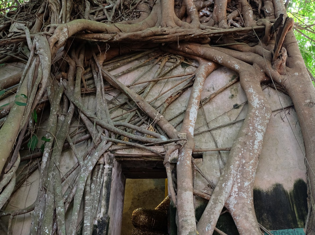 Wat Bang Kaphom景点图片