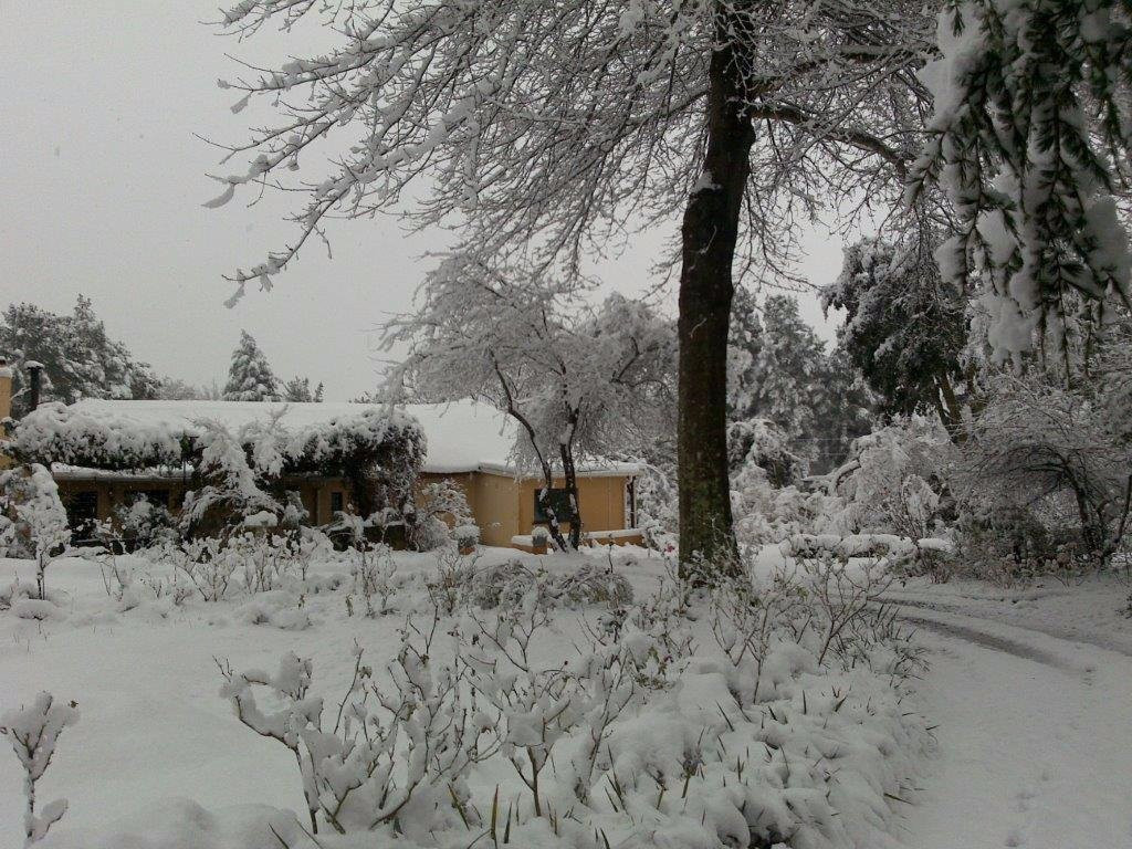 Fort Beaufort酒店住宿-Granny Mouse House