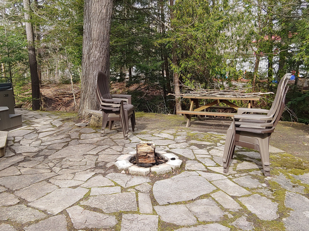 Sauble Falls Bed & Breakfast主图