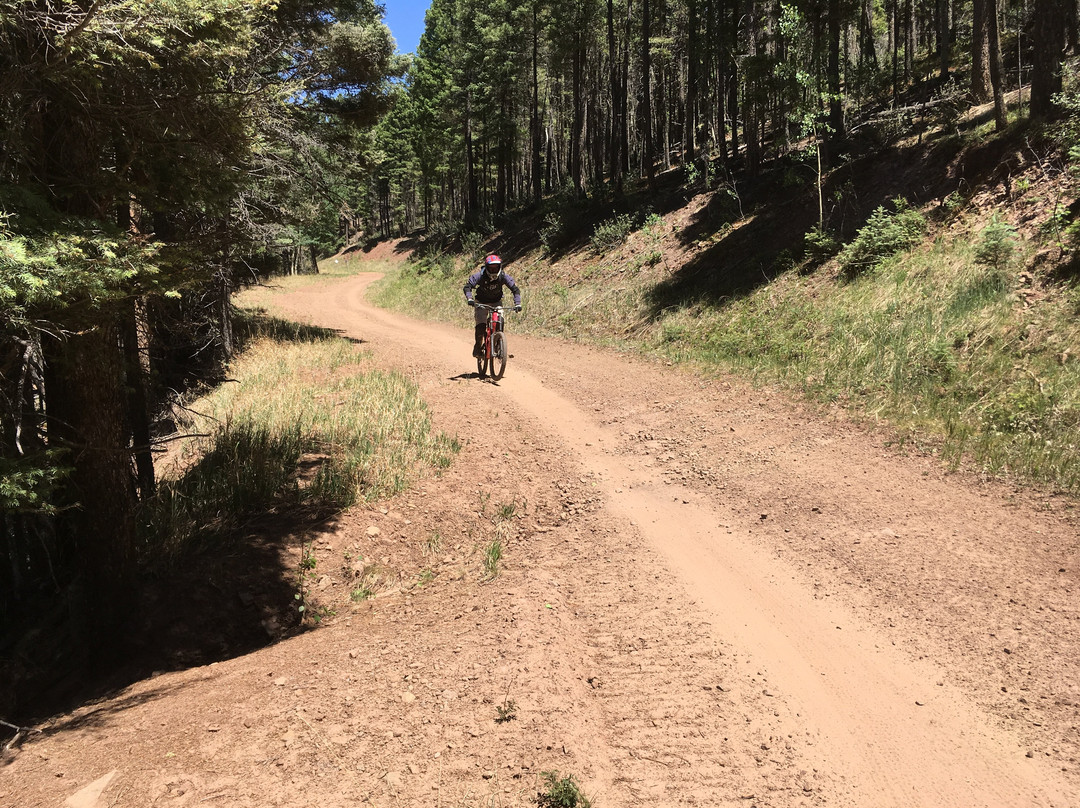 Angel Fire Bike Park景点图片