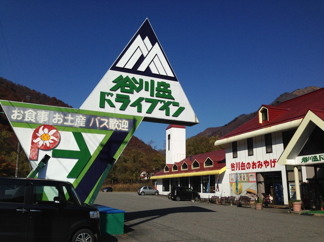 Tanigawadake Drivein景点图片