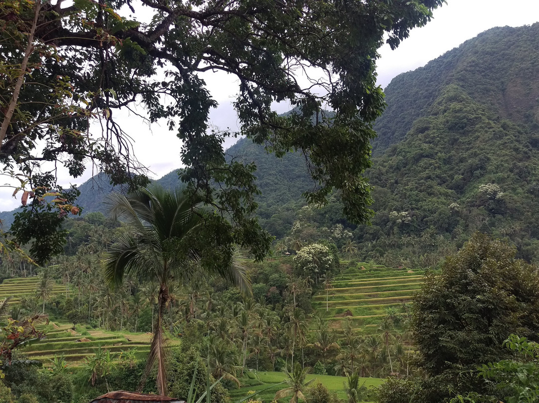 Bali Driver Ketut - Bali Local Private Driver-克罗柏坎必去景点