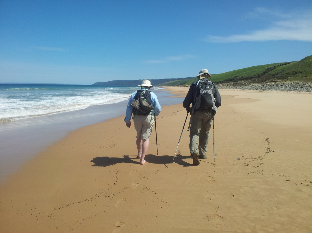 Walks With Nature-维克多港必去景点