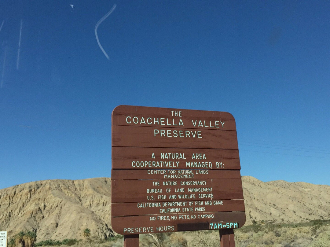 San Andreas Fault-棕榈沙漠必去景点