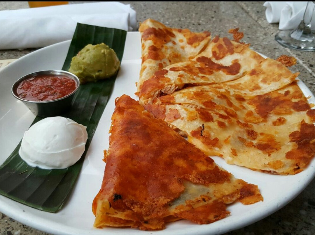 托伦斯餐馆和美食-Lazy Dog Restaurant & Bar