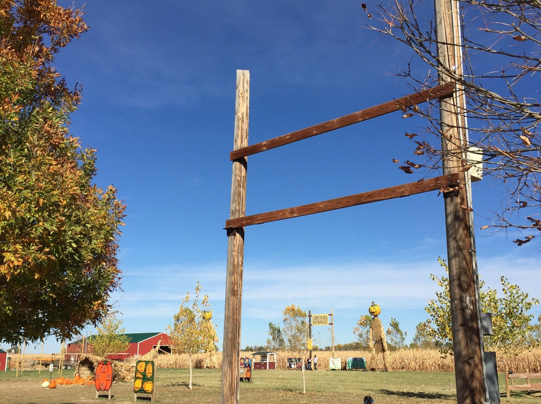 Anderson Farms-Erie必去景点