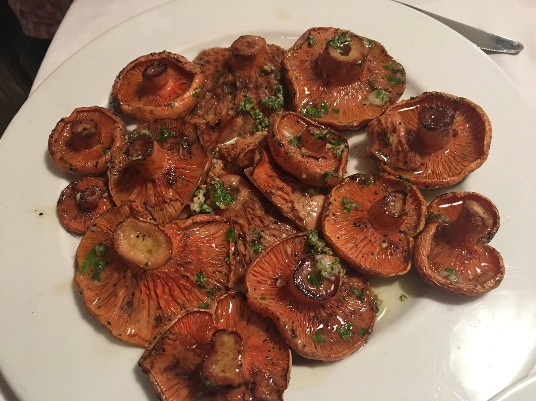 Alp餐馆和美食-Ca l'Eudald