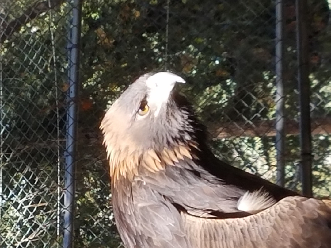 Wildhaven Ranch景点图片