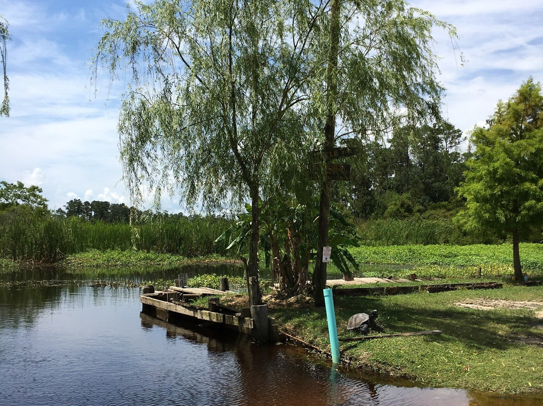 Turtle Landing Bar & Grill-Pearlington必去景点