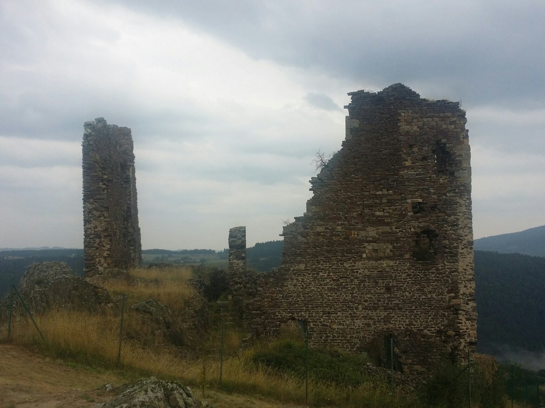Chateau d'Artias景点图片