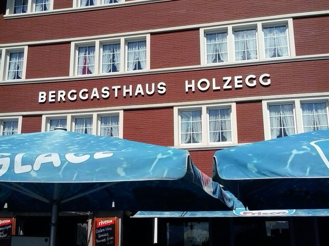 Alpthal餐馆和美食-Berggasthaus Holzegg