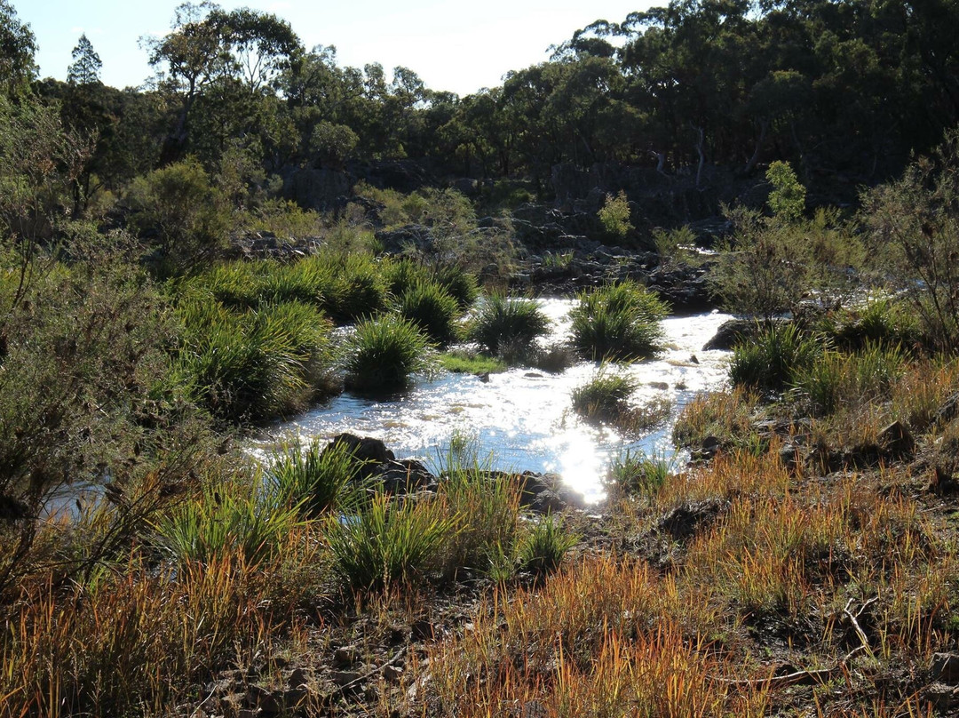 Kings Plains National Park景点图片