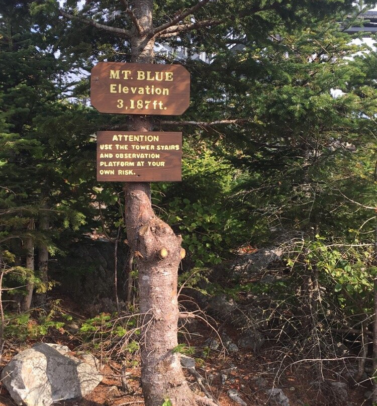 Mount Blue State Park景点图片