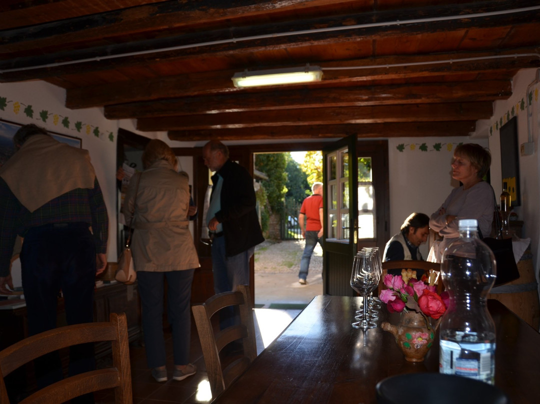 Weingut Thomas Kitzmueller