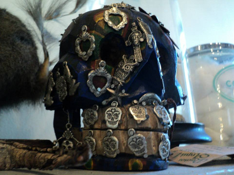 Morbid Anatomy Museum-布鲁克林必去景点