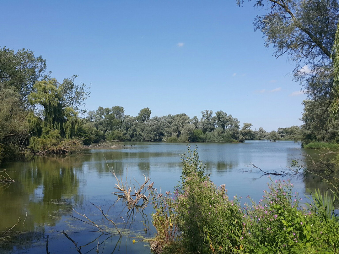 Paxton Pits Nature Reserve景点图片