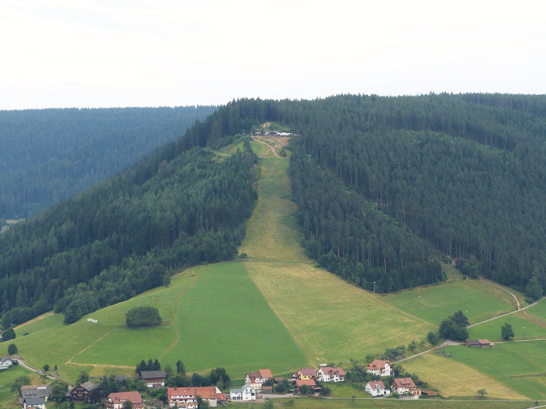 拜尔斯布龙旅游景点-Wallburg Rinkenberg