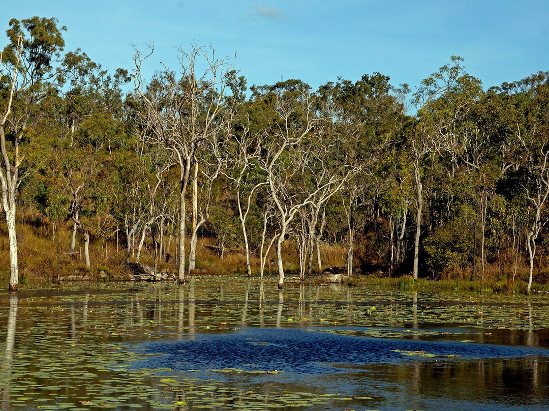 Mareeba Bush Stays