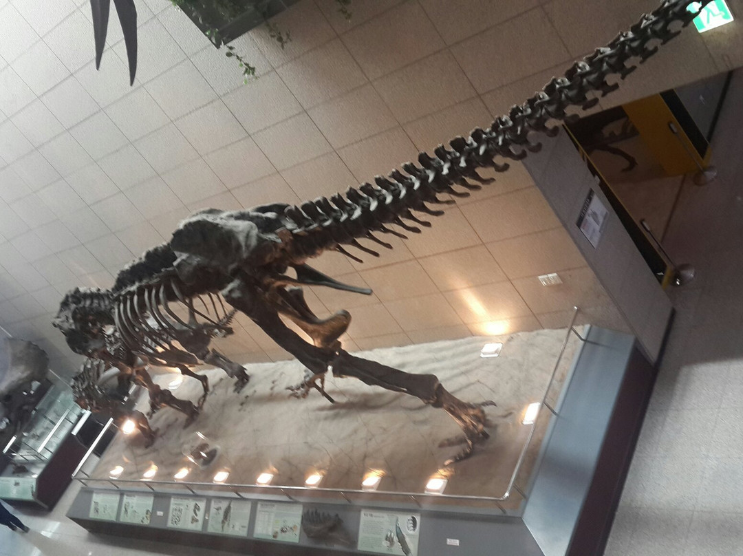 Geological Museum-大田必去景点