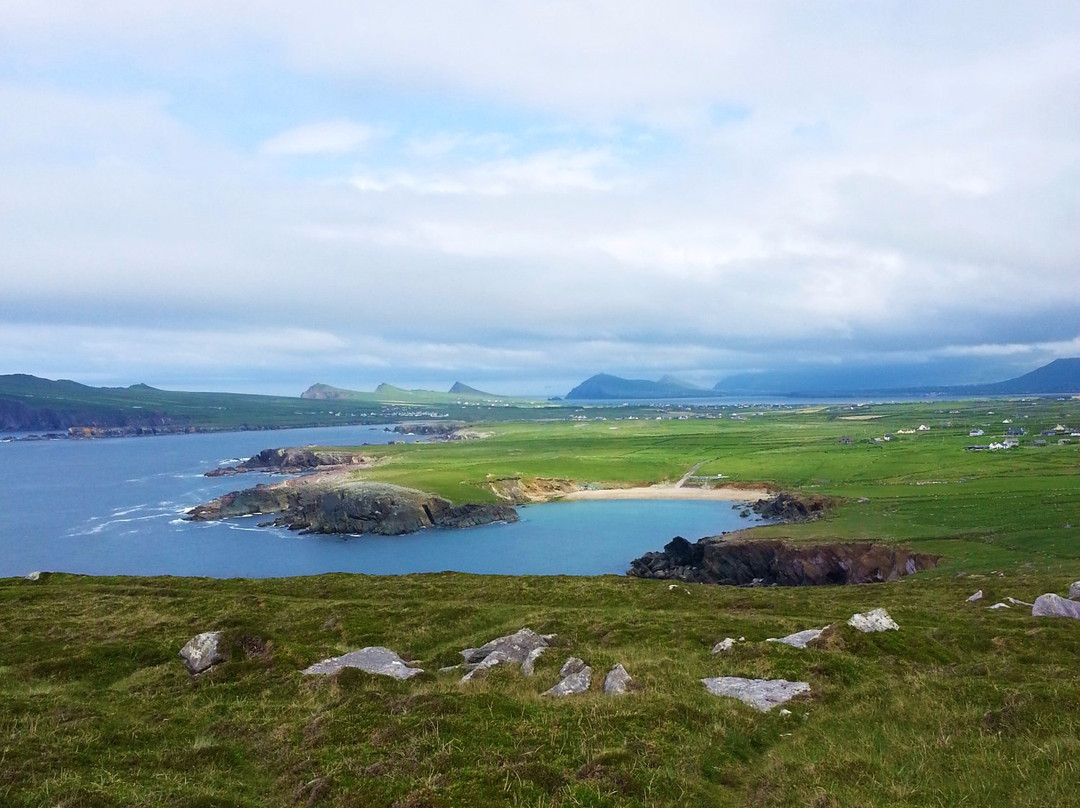 Con Moriarty's Hidden Ireland Tours