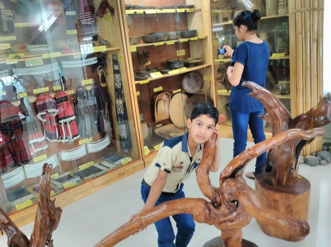 Ever Living Museum景点图片