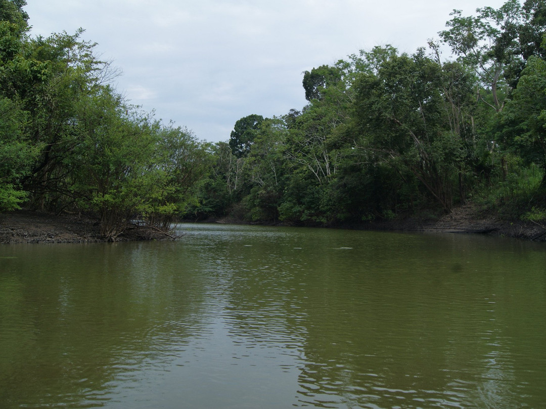 Momon River景点图片