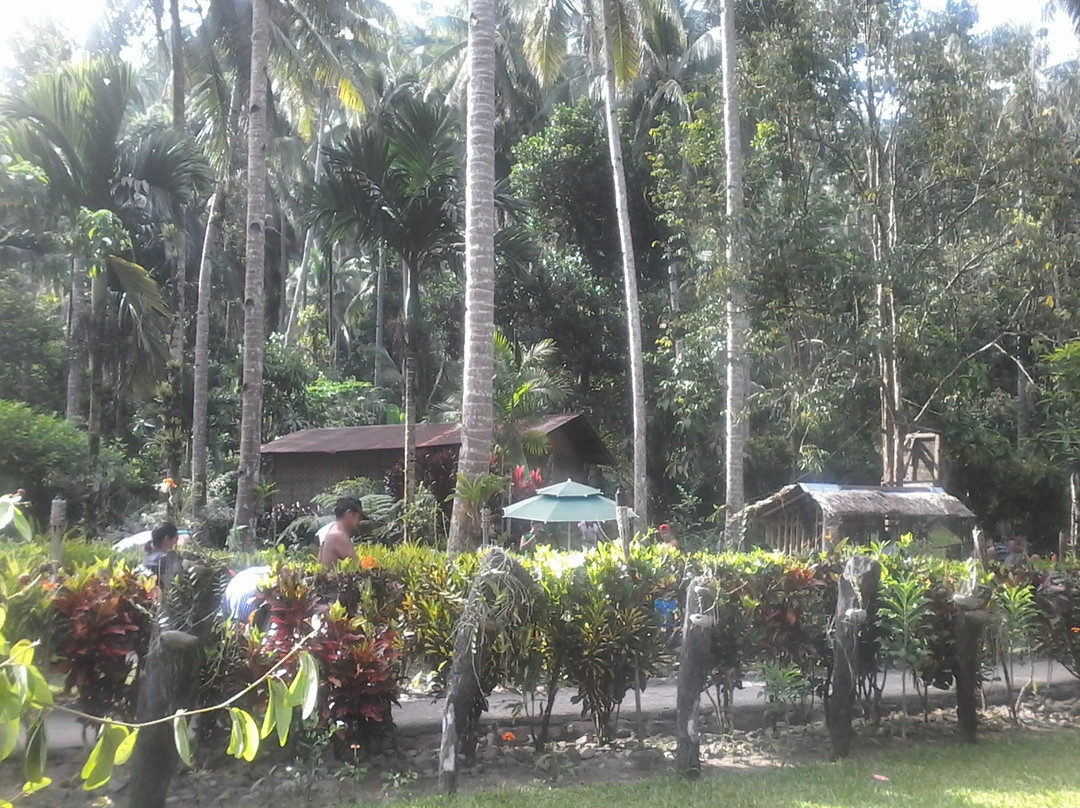 Castanas Spring Resort-Abuyog必去景点