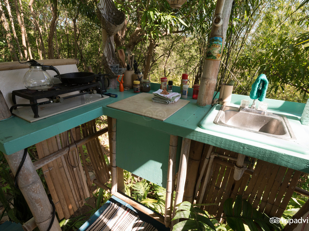 Tropical Treehouse