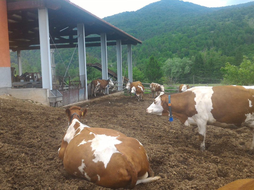 Azienda Agricola Brigne-Bardineto必去景点