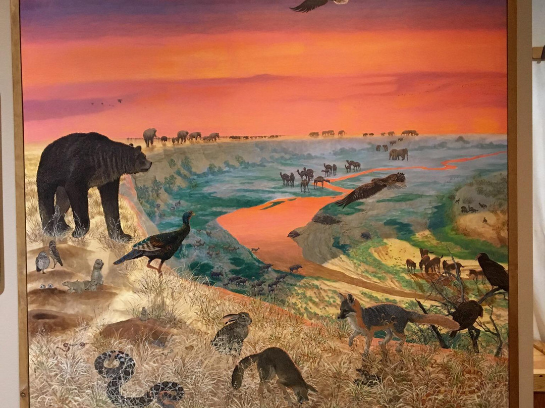 Lubbock Lake Landmark-拉伯克县必去景点