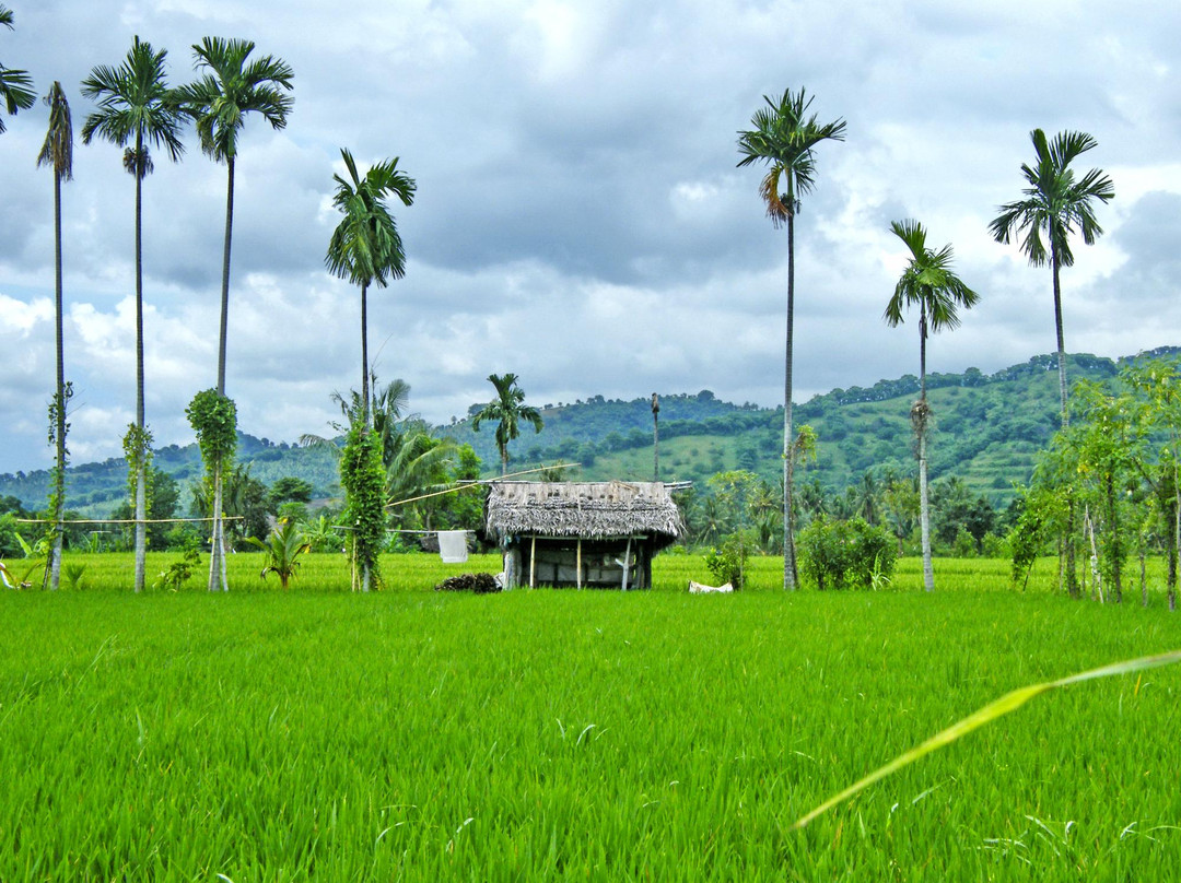 Lombok Tour-Senggigi必去景点