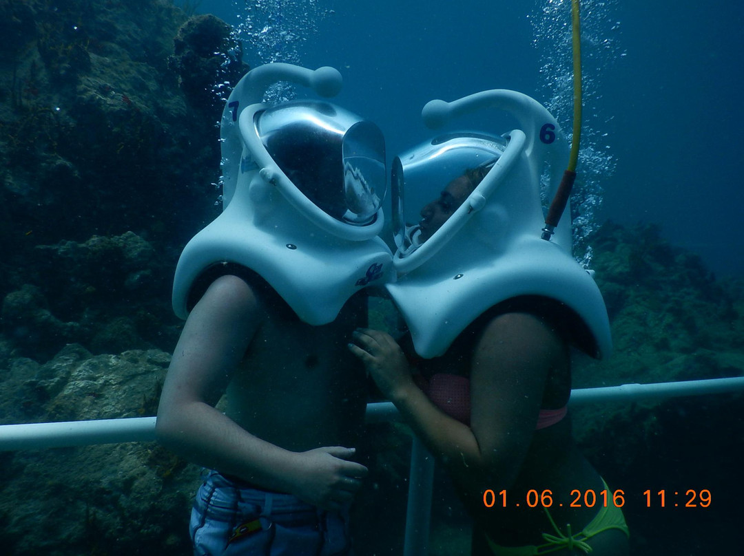 Sea Trek St. Maarten景点图片