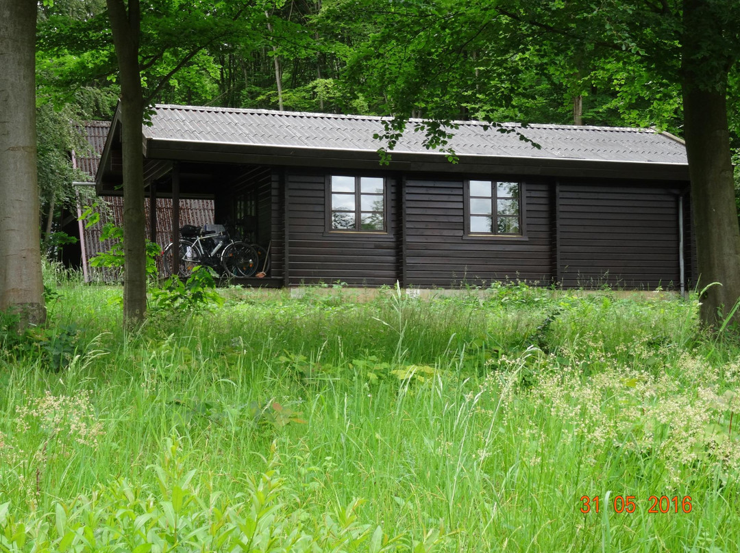 Ferienpark Twistesee