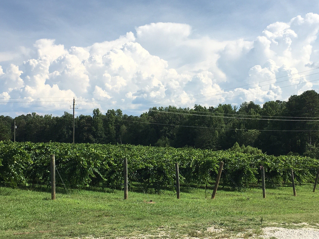 Fruithurst Winery Co.-Fruithurst必去景点