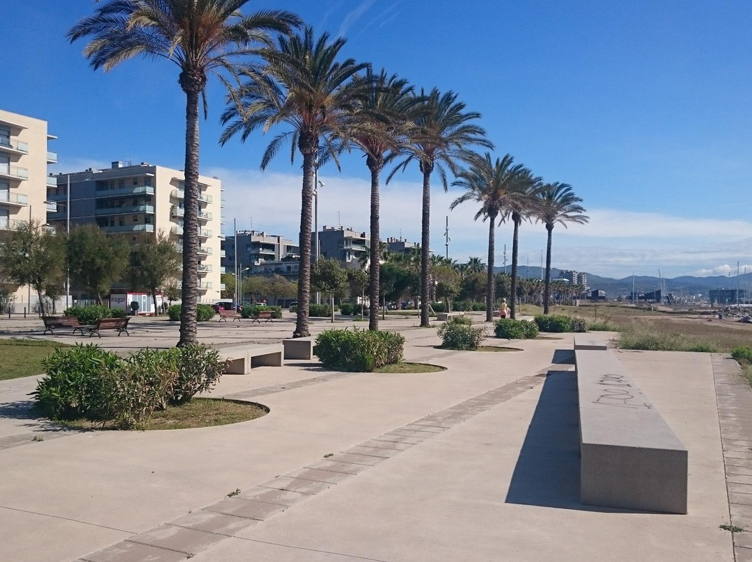 Platja de la Mora景点图片