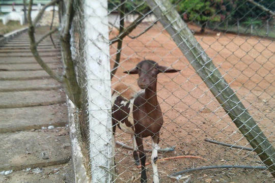 Pousada Lago Dourado主图