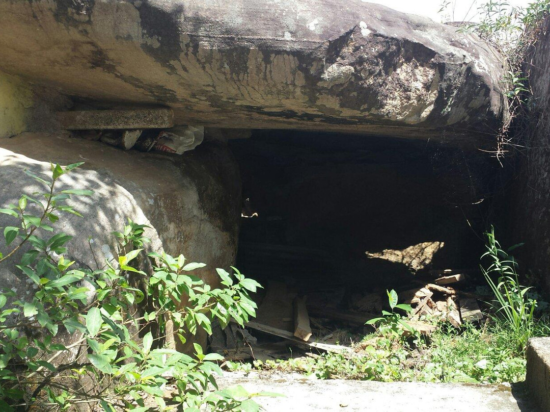 Royal Ceylon Leisure-奴娃拉伊利雅必去景点