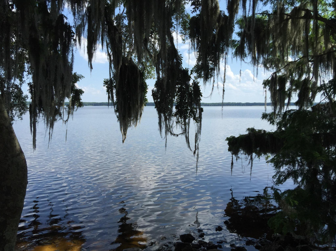 Palm Point Nature Park-盖恩斯维尔必去景点