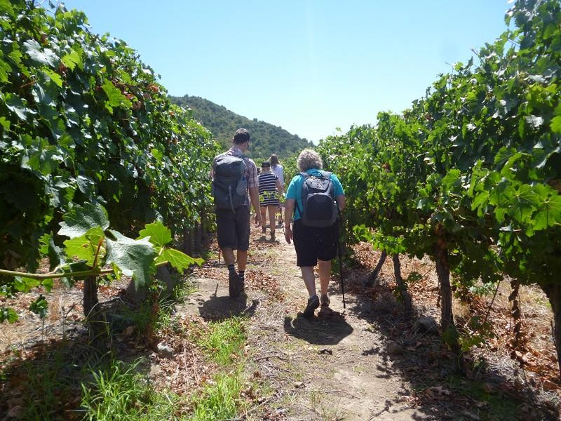 Vina Las Pitras-Curico必去景点