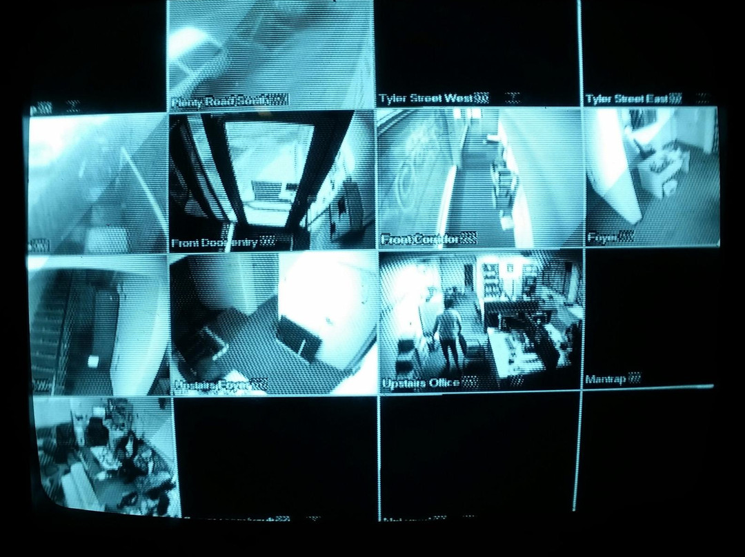 Small Time Criminals-普莱斯顿必去景点