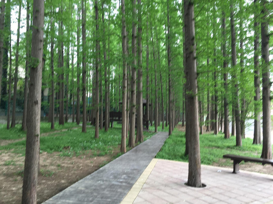 金牛湖-南京市必去景点