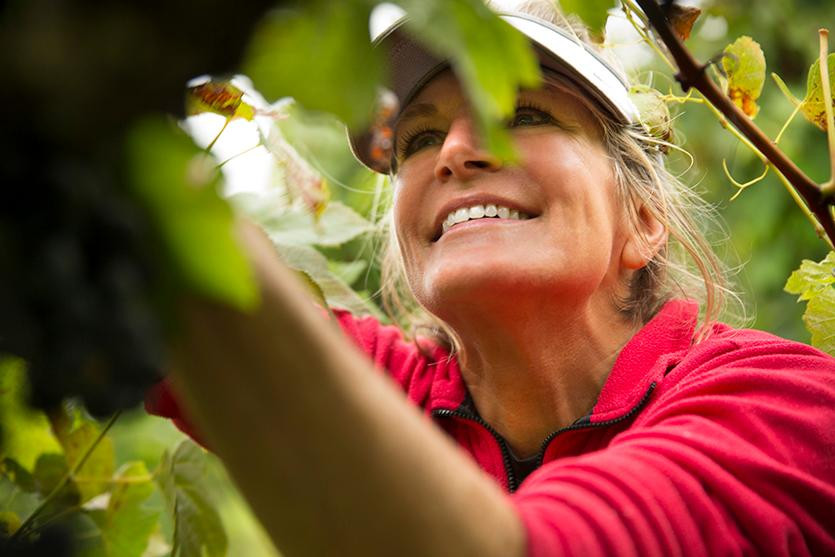 Creekbend Vineyard-Ellettsville必去景点